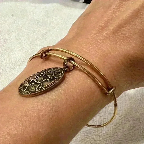 Alex and Ani Forever, Friend, Sister, Charm Bracelet In Rafaelian Gold - Picture 5 of 7